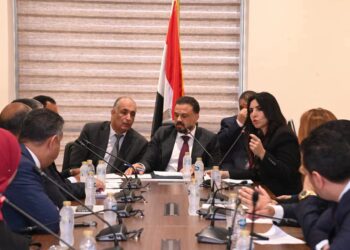 ازاله بيت شباب المنيل في طلب إحاطة لـ شذا حبيب