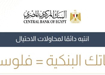 “المركزي المصري” يطلق حملة توعوية لمكافحة مخاطر الاحتيال